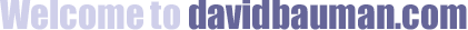 Welcome to davidbauman.com